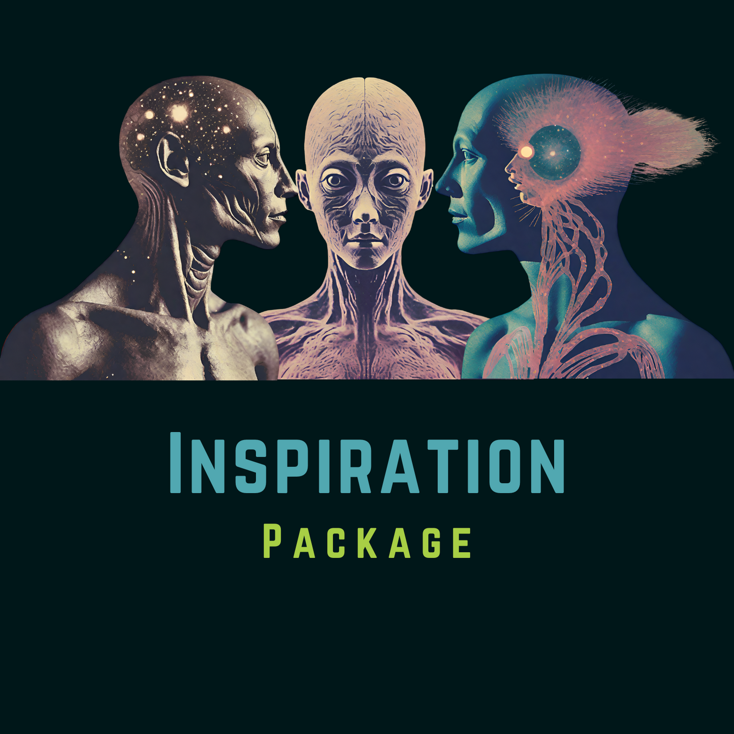 Inspiration Package